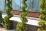 خدمات باغبانی و طراحی فضای سبز ارم در مهرشهر کرج