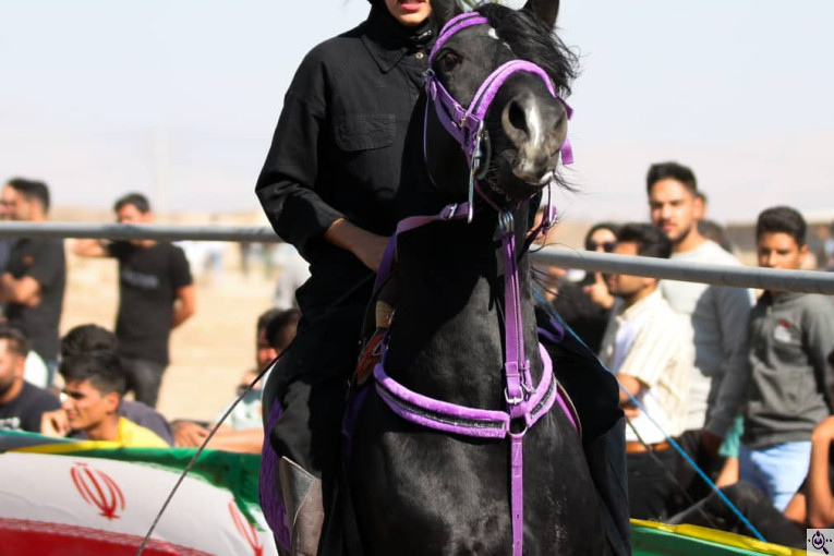 مجموعه سوارکاری و پرورش اسب غزال در سیرجان
