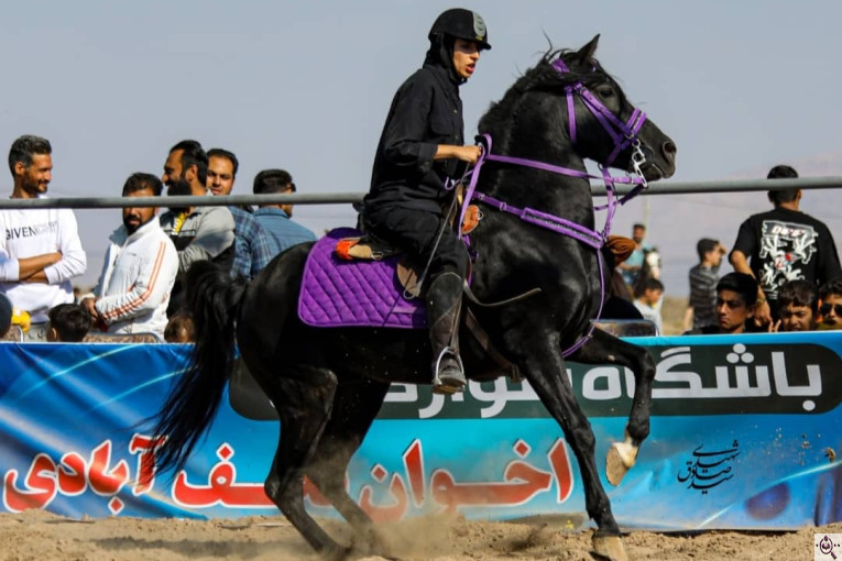 مجموعه سوارکاری و پرورش اسب غزال در سیرجان