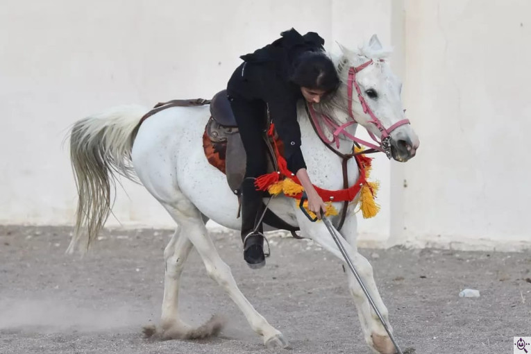 مجموعه سوارکاری و پرورش اسب غزال در سیرجان