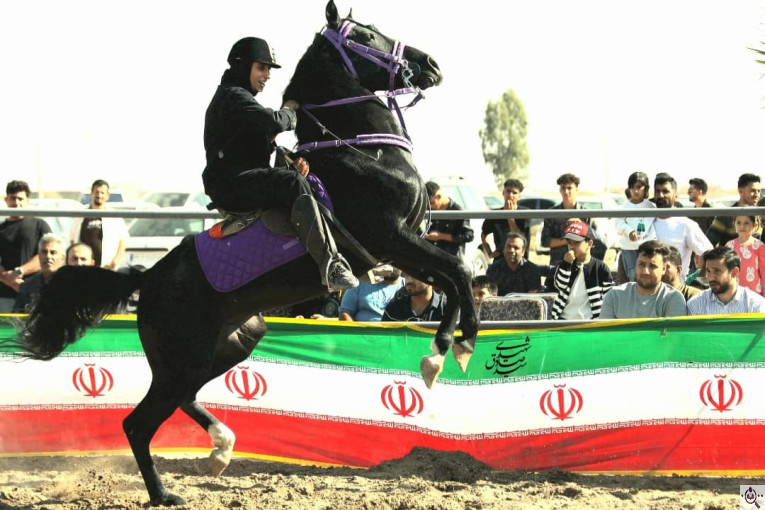 مجموعه سوارکاری و پرورش اسب غزال در سیرجان